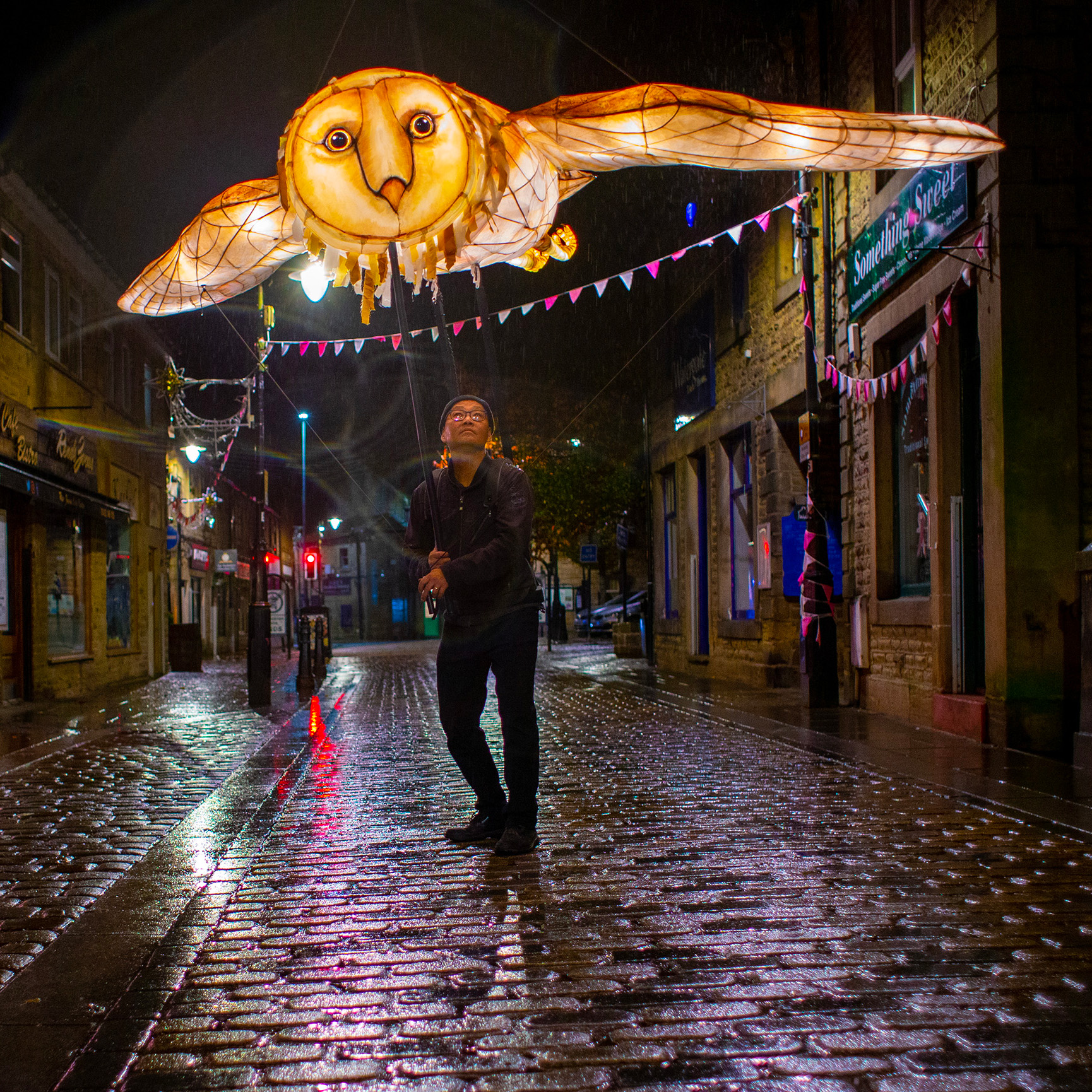IHN36791_Owl Hippochondriac